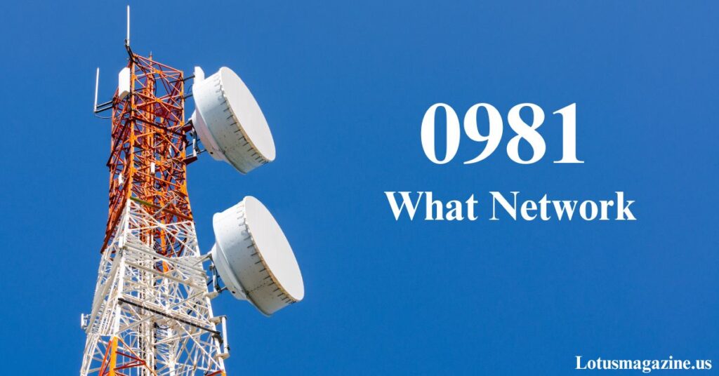 0981 What Network