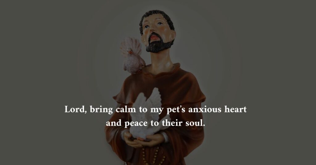 Prayers for Comfort & Peace