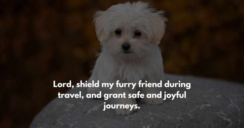  Prayers for Protection and Safety
